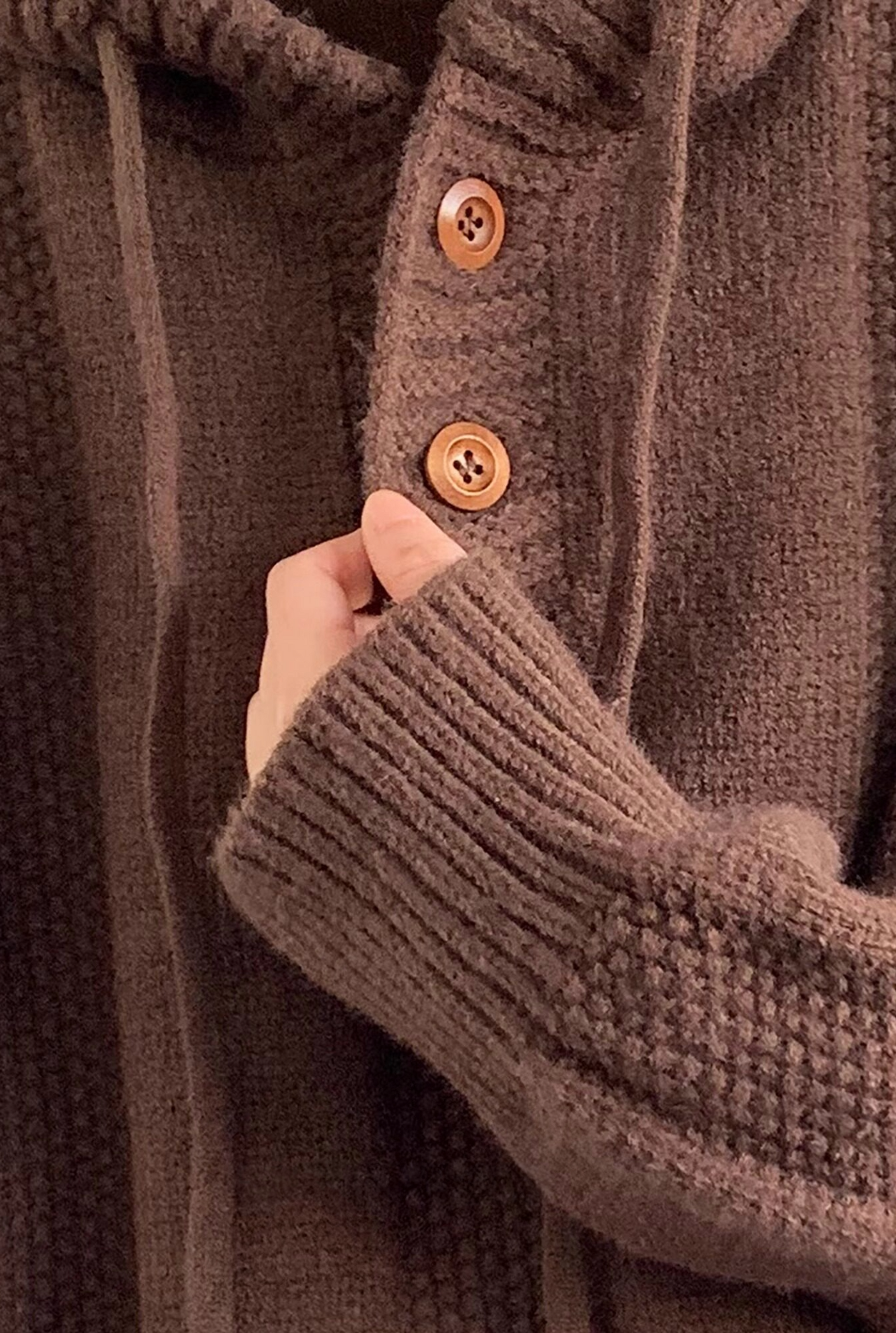 Shibui Knit Hooded Pullover