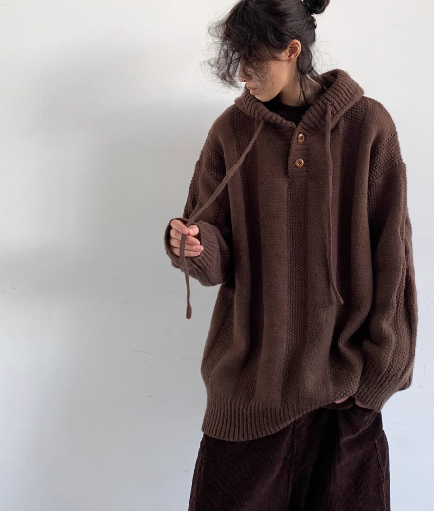 Shibui Knit Hooded Pullover